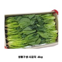 국내산 시금치 4kg 1박스