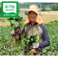 레드비트 해남 유기농 2kg 3kg 5kg 10kg