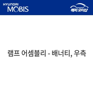 램프 어셈블리-베너티,우측 92896AA000TVN 92896 AA000TVN