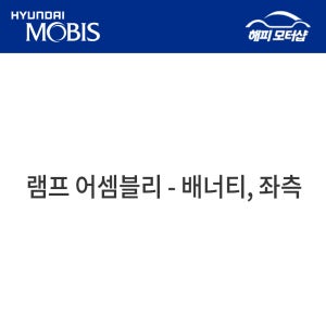 램프 어셈블리-베너티,좌측 92890AA000TVN 92890 AA000TVN