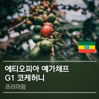 커피생두 에티오피아 예가체프G1 코케허니 1kg