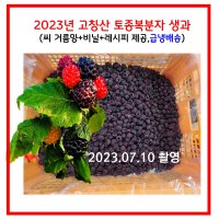 5kg 고창산 토종복분자+씨거름망+비닐+레시피