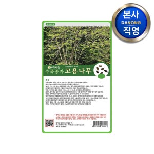 고욤 나무 씨앗 30g 수목 식물 씨 종자