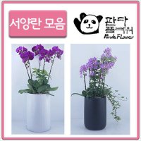 PFA011 남자 여자 친구 졸업식 입학식 꽃다발 선물