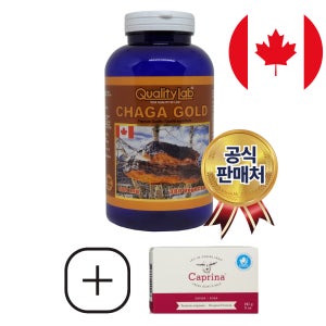 캐나다 퀄리티랩 차가 골드 chaga gold