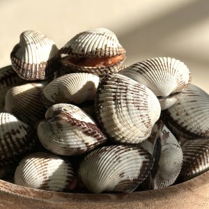 국내산 제철 벌교 꼬막 남해안 피꼬막 특품