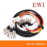 12채널 멀티 케이블 TRS 55 발란스 AUX 케이블 EWI MTPS 10m