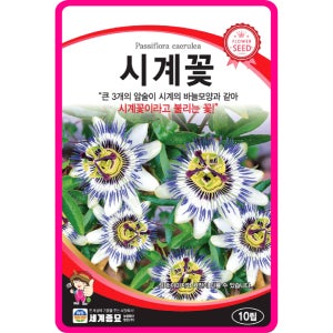시계꽃 씨앗 / 10립 꽃씨 꽃씨몰 다년생 노지월동 야생화 봄꽃 종자