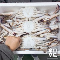 살꽉찬 연평도 급냉 활숫꽃게 대자 3마리 1k내외 간장게장 꽃게무침 꽃게탕