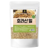 호라산밀 2kg 대용량 터키 정품 오리엔탈밀 원물100% 쌀 밥 짓기 비티민&미네랄 2022년 햅쌀 효능 베이킹 샐러드 당뇨에좋은 재료 6000년전고대이집트신비의곡물 추천 수퍼푸드