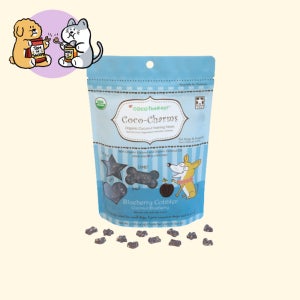 코코테라피 l 코코참스 트레이닝 트릿 블루베리, 141g, 1개