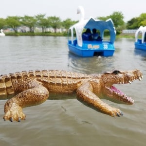 노리왕 [B] 어린이 소프트 악어 장난감 피규어