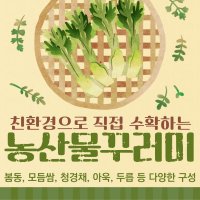 농산물꾸러미 친환경 쌈채소 봄동 아욱 2.5kg 구성