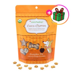 코코테라피 코코참스 트레이닝 트릿 펌킨파이, 141g, 1개