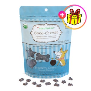 코코테라피 코코참스 트레이닝 트릿 블루베리 코블러, 141g, 1개