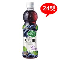 자연은 포도 100 500mL X 24펫 /B