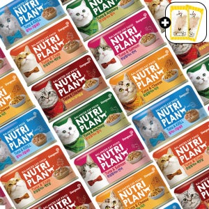 동원 뉴트리플랜 고양이캔 콤보6종160g 24캔 통조림 습식간식