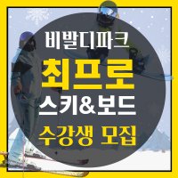 홍천 비발디파크 / 유아, 어린이, 성인을 위한 초급 전문 강습 (당일 예약 가능) / 스노우보드 강습 / 스키 강습