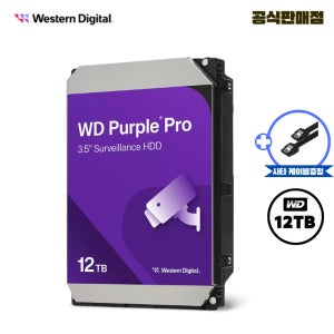 WD 퍼플 12TB CCTV 전용 하드디스크