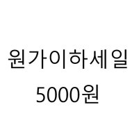 원가이하 세일 5000원