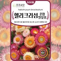 헬리크리섬 씨앗 500립 종이꽃 밀짚꽃 꽃씨 몰 봄 여름 가을 종자 파종 드라이플라워 씨