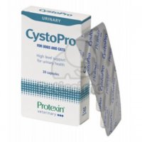 CYSTOPRO 시스토프로 반려동물 유산균 30정