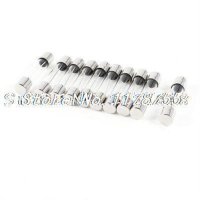 써모스탯 10pcs 블로우 6x30mm 유리관 퓨즈 250V 10A