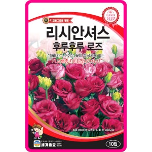 리시안셔스 씨앗 후루후루 로즈 / 10립 리시안셔스 꽃씨 꽃씨몰 일년생 야생화 봄꽃 종자
