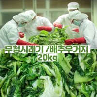 국산 삶은 나물 20kg 배추우거지 무청시래기 냉동