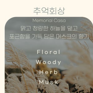 스마트 디퓨저 프리미엄 시그니처 패키지 플로럴 우디 허브 머스크 향 실내 방향제