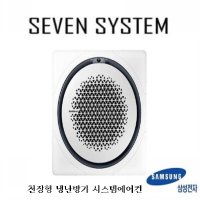 삼성 천장형 에어컨 AC110KA4PHH5SY 30평 업소용에어컨