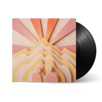 Surfaces - Hidden Youth (Vinyl, LP) 서피시스 LP