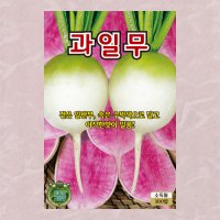 과일무 수박무 씨앗 100립 무씨