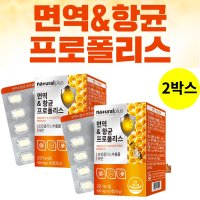 브라질프로폴리스 브라질산프로폴리스 프로폴리스면역력