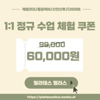 [성신여대 필라테스] 웰러스1:1 레슨 1회 체험 쿠폰, 개인레슨 전문센터