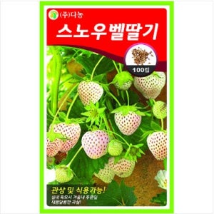 스노우벨 딸기 씨앗 100립 씨앗