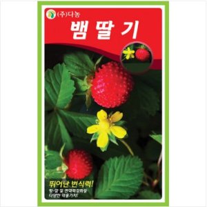 뱀딸기 씨앗 1000립 씨앗 산딸기