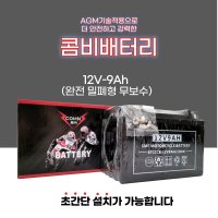 시티에이스2 보이져 조이맥스 다운타운 125 쥬드 베스파 12V 9A 콤비 배터리