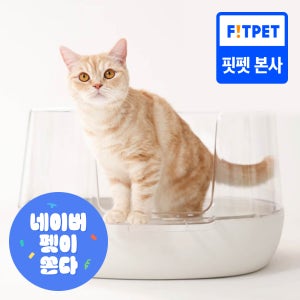 냥쌤 고양이화장실 투명화장실 대형 배변통 사막화방지