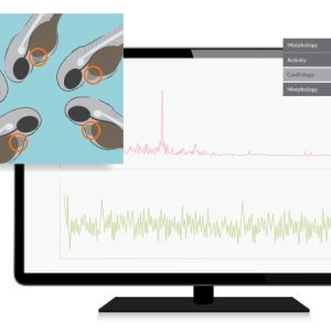 Noldus - DanioScope ZEBRAFISH EMBRYO AND LARVAE RESEARCH(zebrafish heart rate, cardiac)