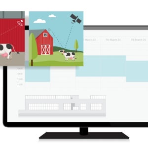 Noldus - TrackLab BEHAVIOR, WELFARE, AND HEALTH TRACKING(movement analysis, animal behavior)