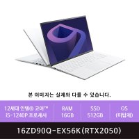 LG그램 16ZD90Q-EX56K 256GB 추가