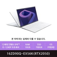 LG그램 16ZD90Q-EX56K 512GB 추가