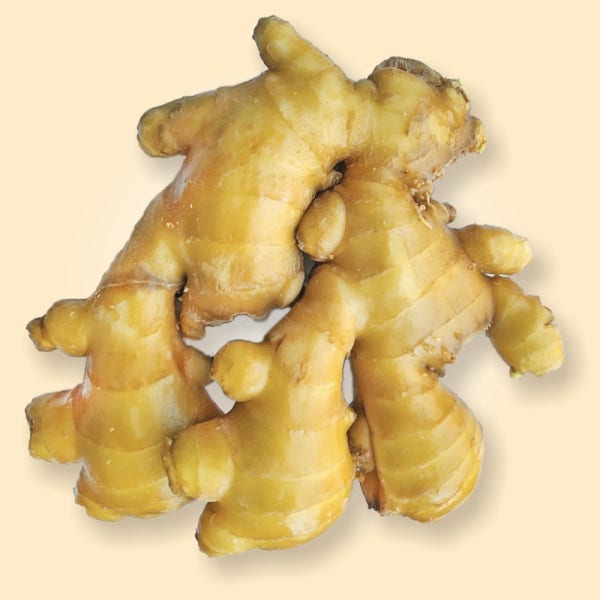 특대 수입 세척 신선 생강 10KG 신수코리아