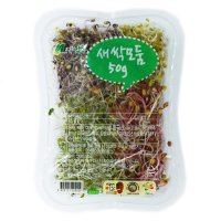 ㅇ 그린팜 생 모듬새싹 50g