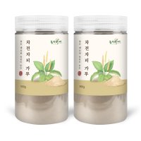 차전자피 가루 분말 1kg (500g x 2통)