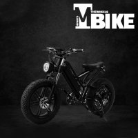 TMBIKE 티엠바이크 전동 스쿠터 전기 자전거 자토바이 팻바이크 클래식오토바이 48V750W 17.5AH