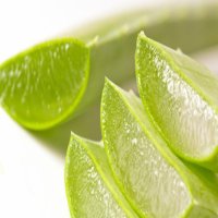 알로에베라(aloevera gel)-젤타입 유기농