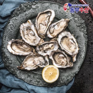 제철 고흥석화 각굴 하프셀 반탈각굴 알굴 깐굴 생굴 굴모음