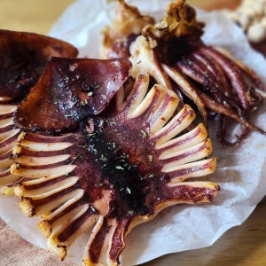 국내산 구룡포 반건조오징어 피데기 건오징어